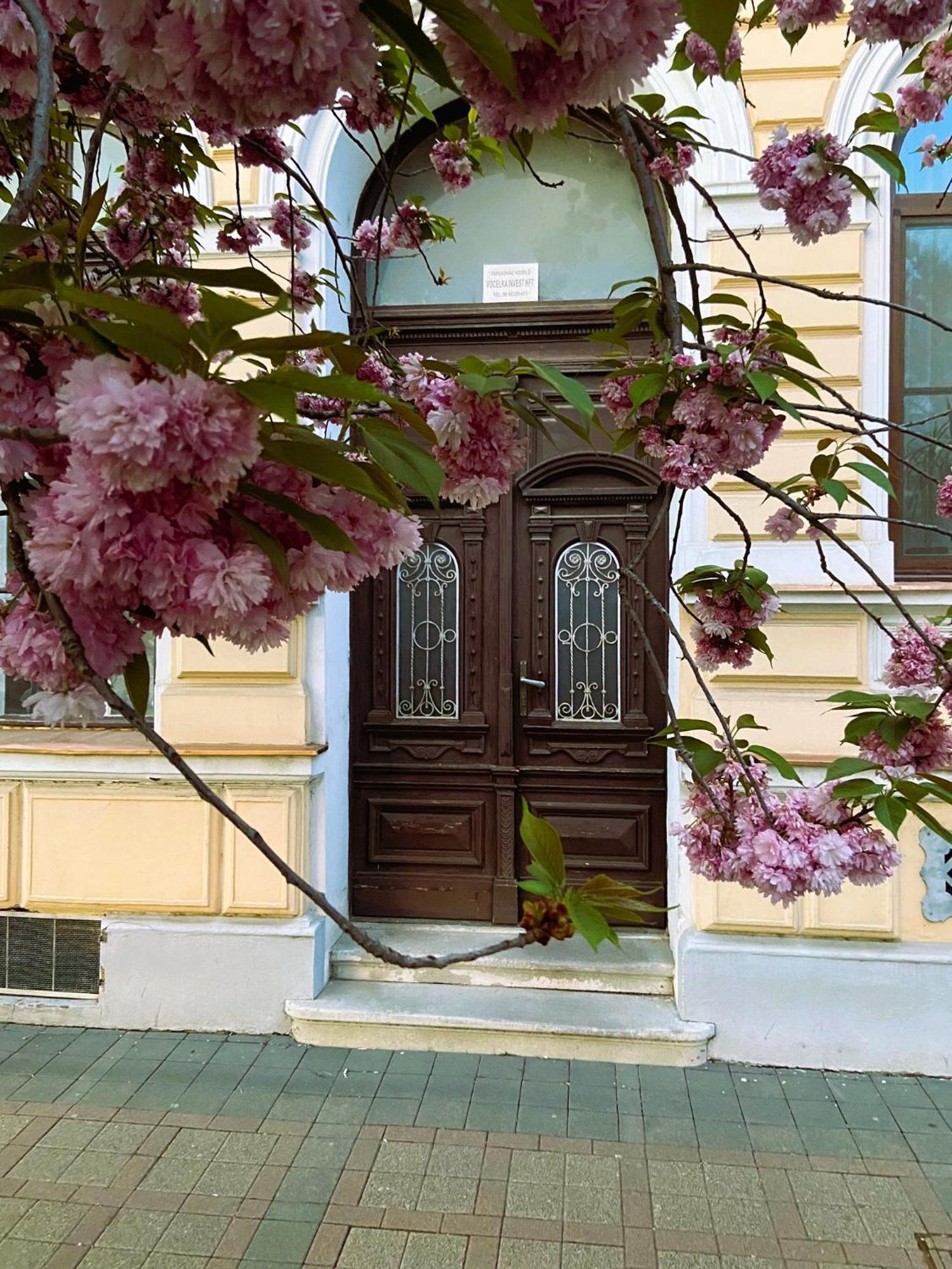 Silentium City Apartman Sárvár 외부 사진